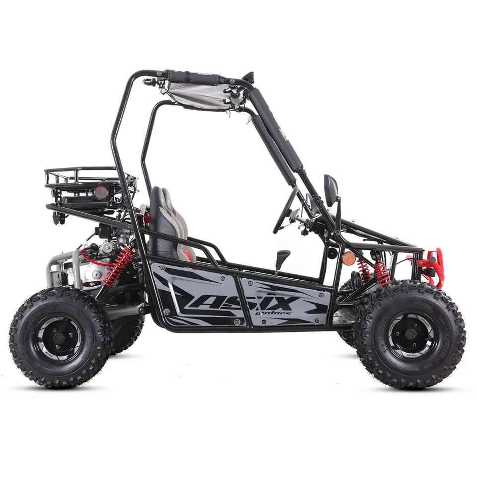 ASIX Buggy 125 pilt 10
