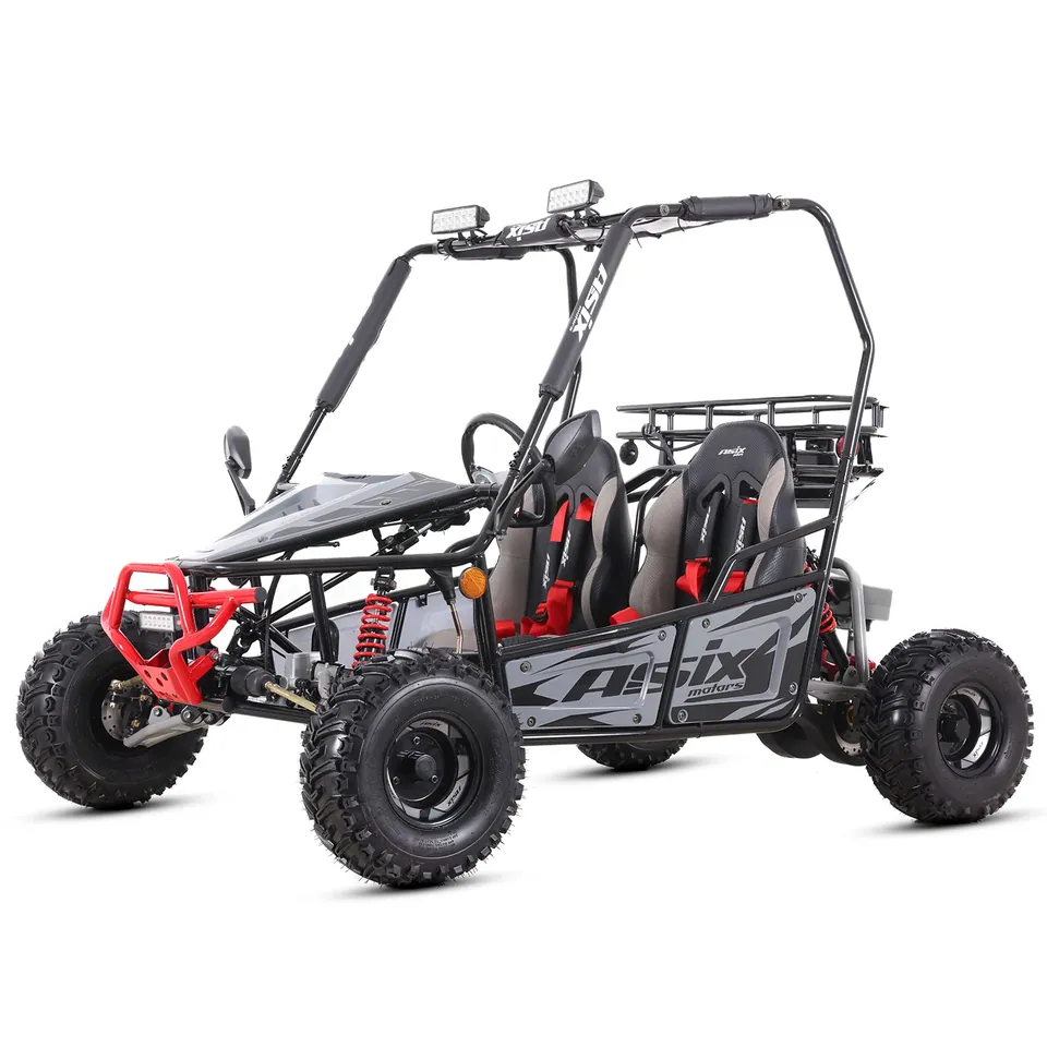 ASIX Buggy 125 detail 15