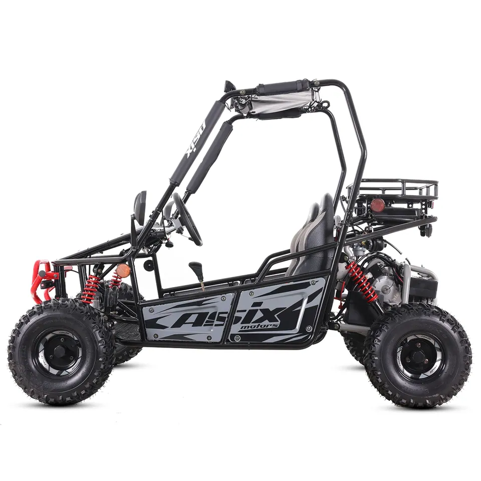 ASIX Buggy 125 detail 14