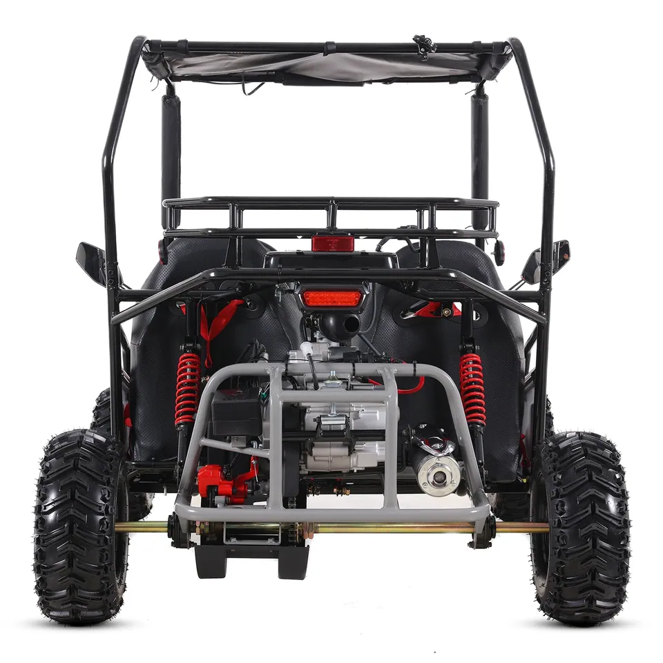 ASIX Buggy 125 pilt 12