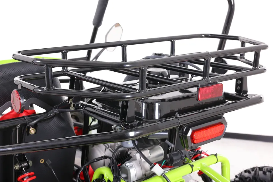 ASIX Buggy 125 detail 34