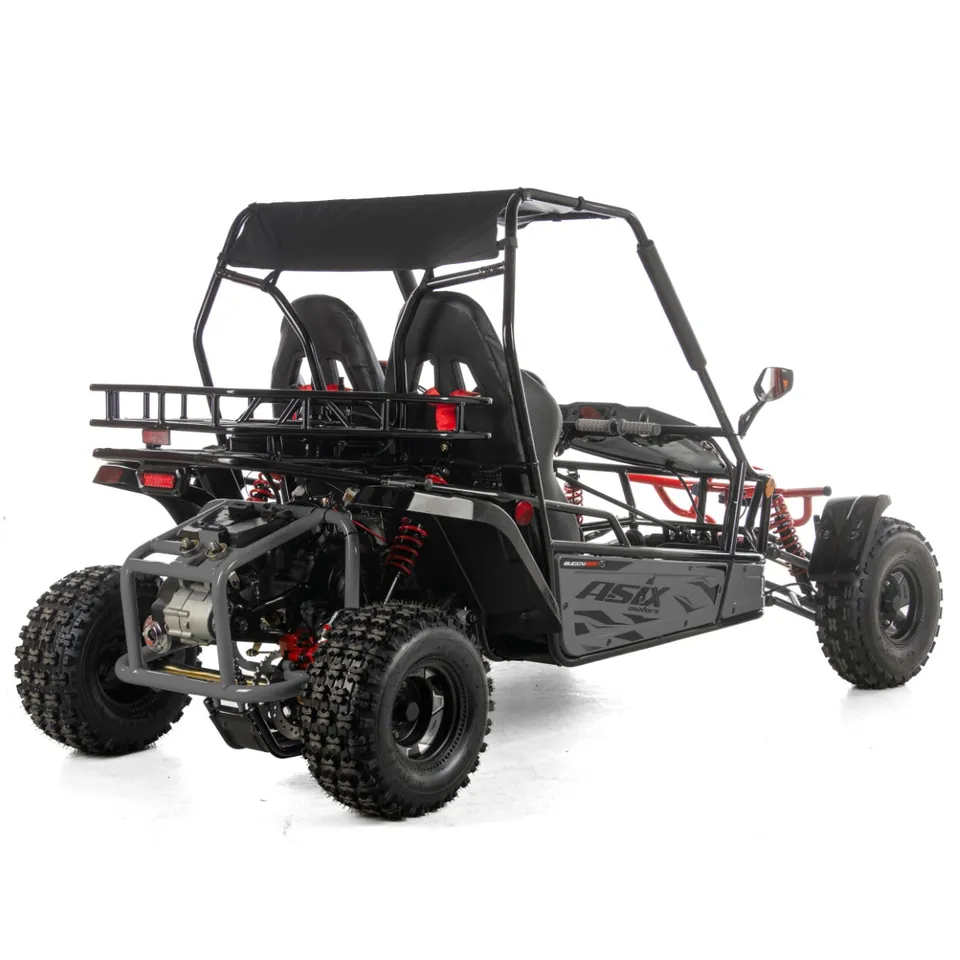 ASIX Buggy 200 pilt 3