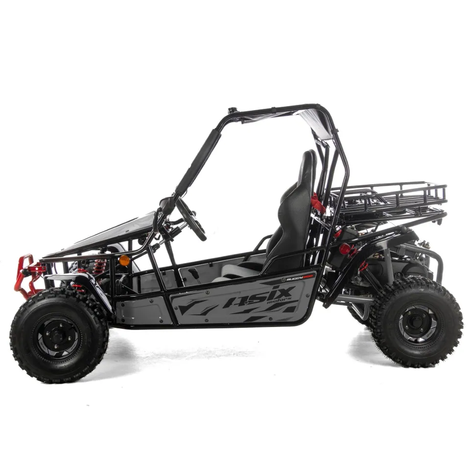 ASIX Buggy 200 pilt 5