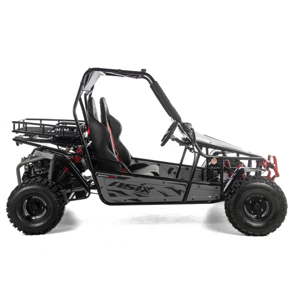 ASIX Buggy 200 pilt 2