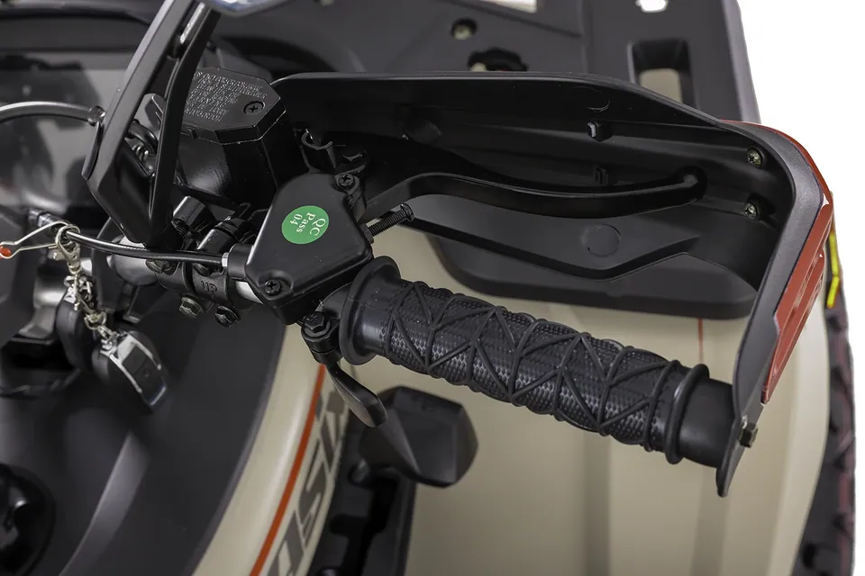 ASIX Challenger 250RR T3B detail 28