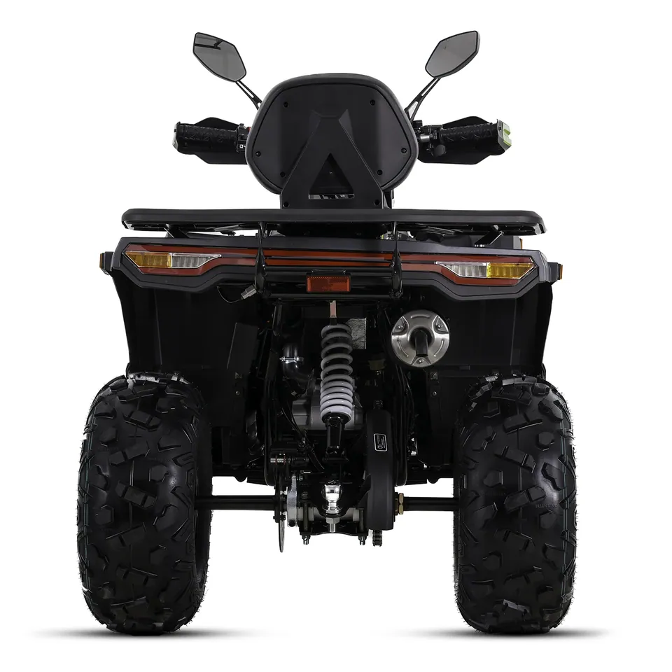 ASIX Challenger 250RR T3B pilt 10