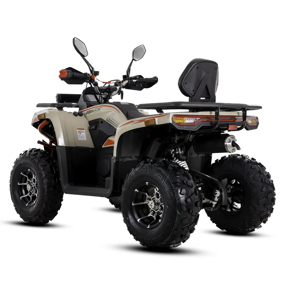 ASIX Challenger 250RR T3B pilt 11