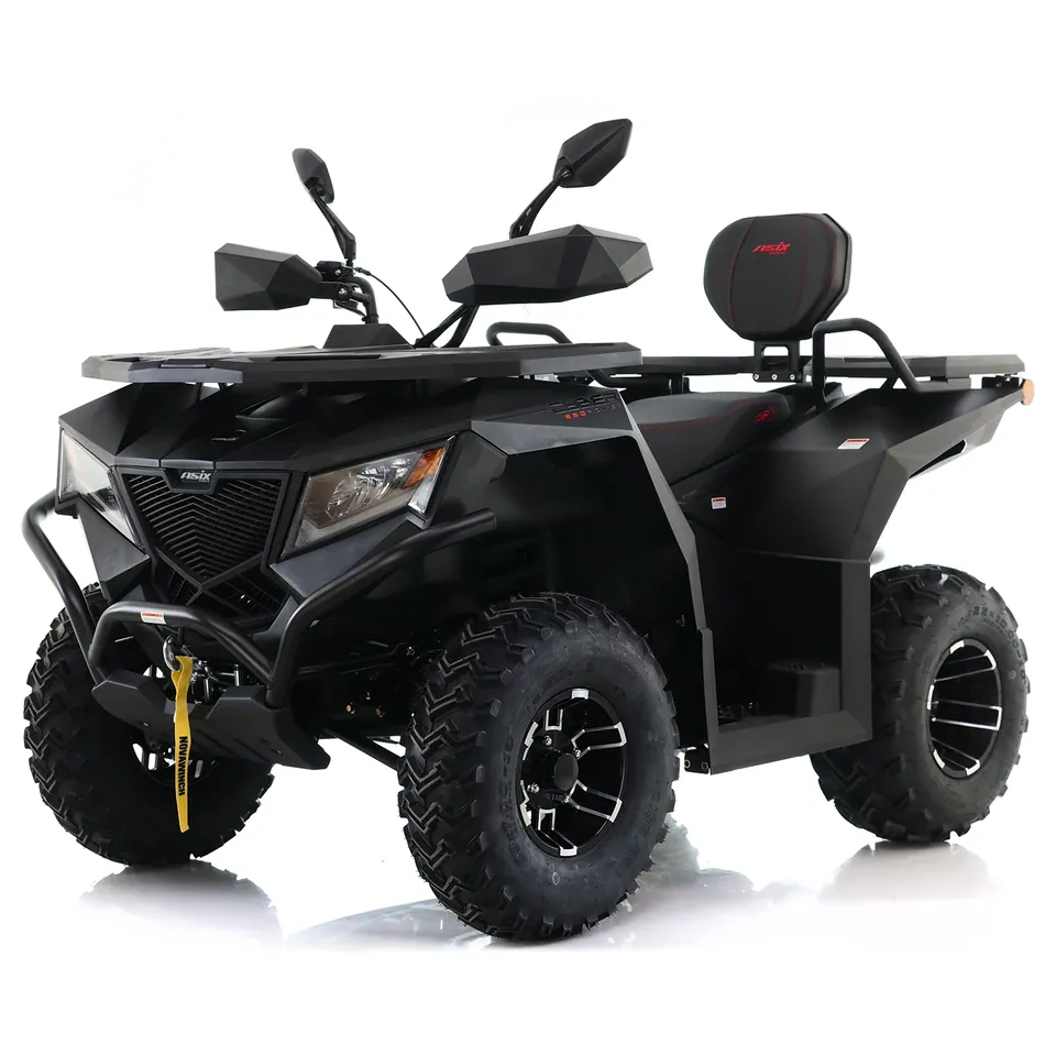 ASIX Cyber 250 RR detail 13