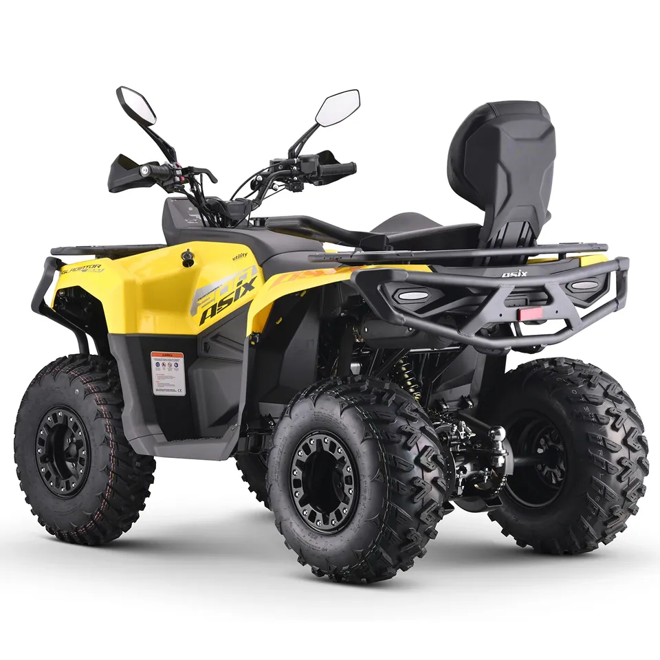 ASIX Gladiator 200 RR pilt 11
