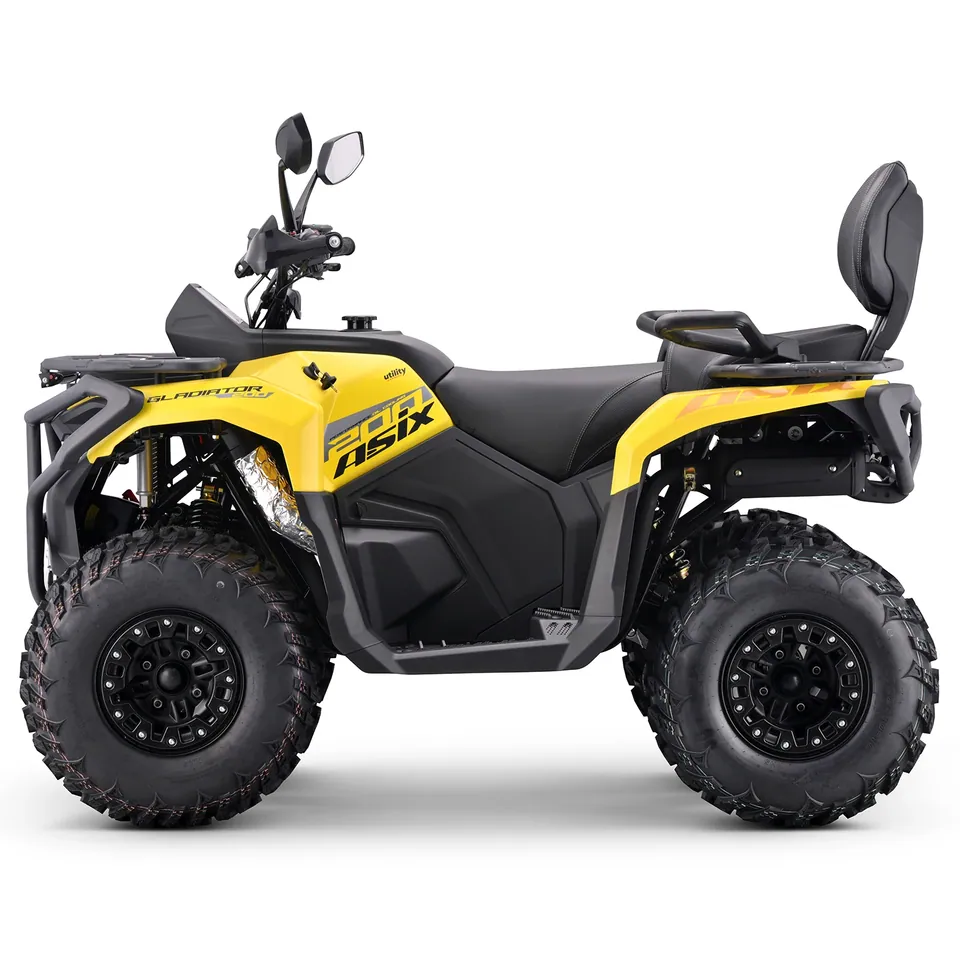 ASIX Gladiator 200 RR pilt 12