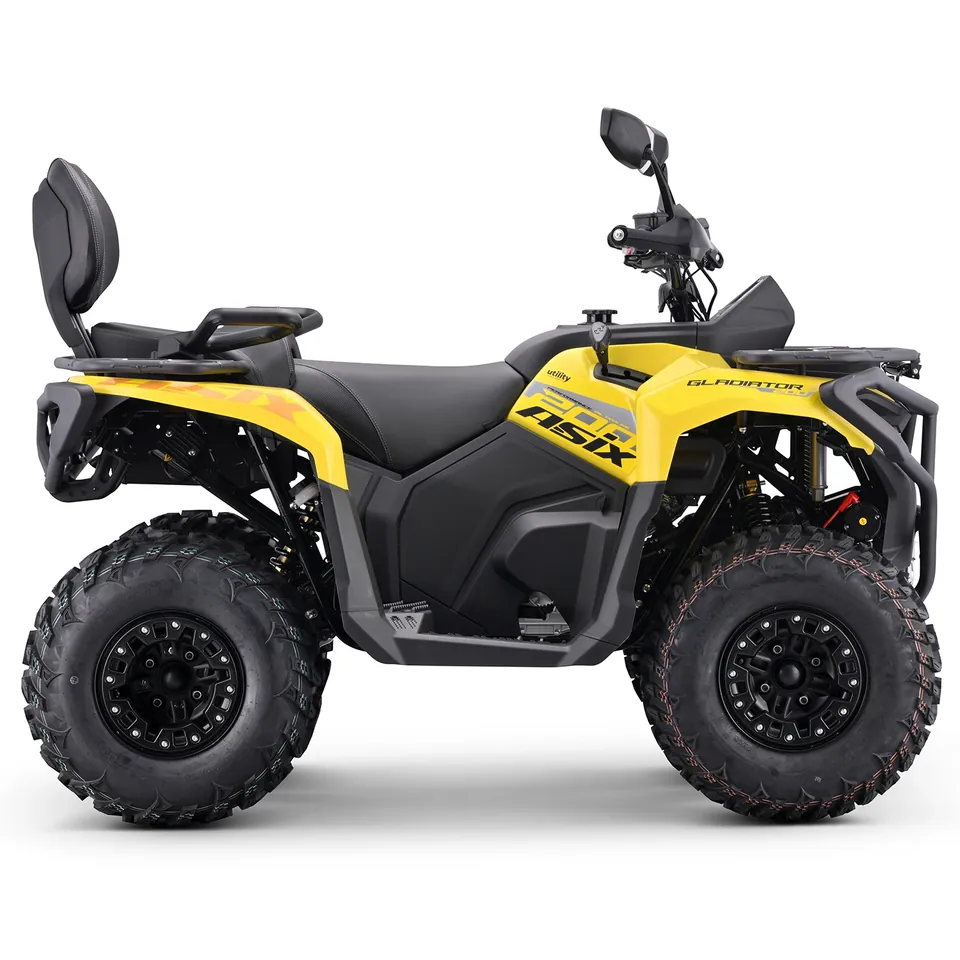 ASIX Gladiator 200 RR pilt 9