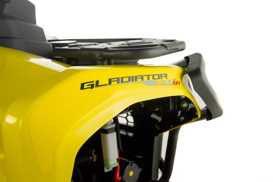 ASIX Gladiator 300 detail 42